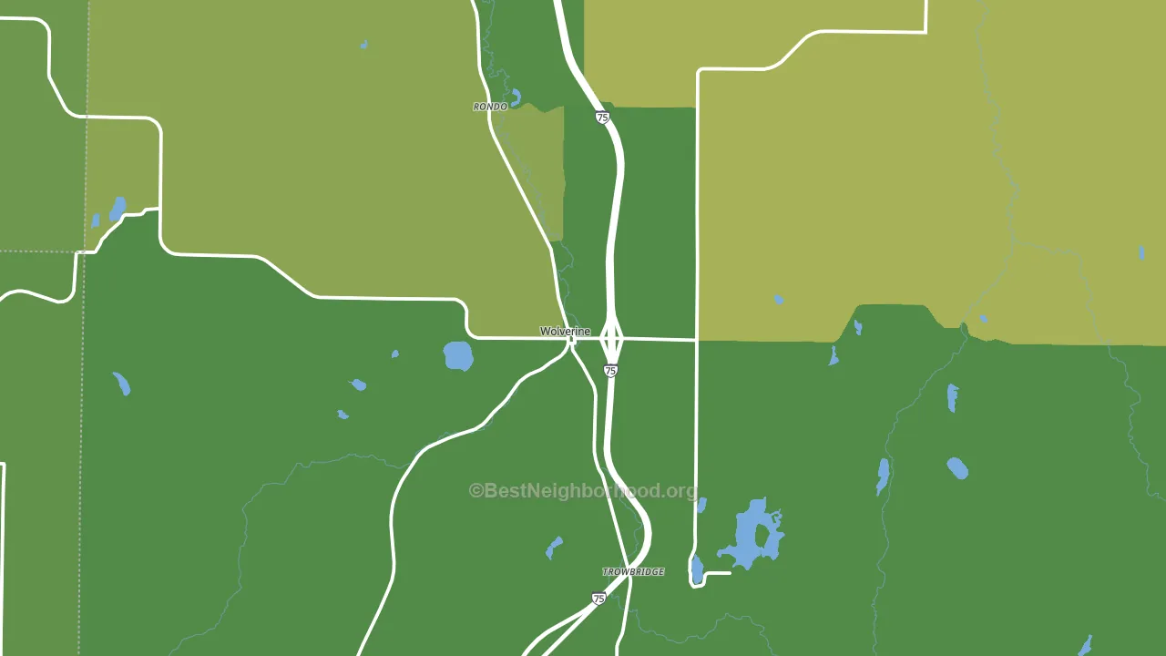 Wolverine, MI block-group voter-turnout map
