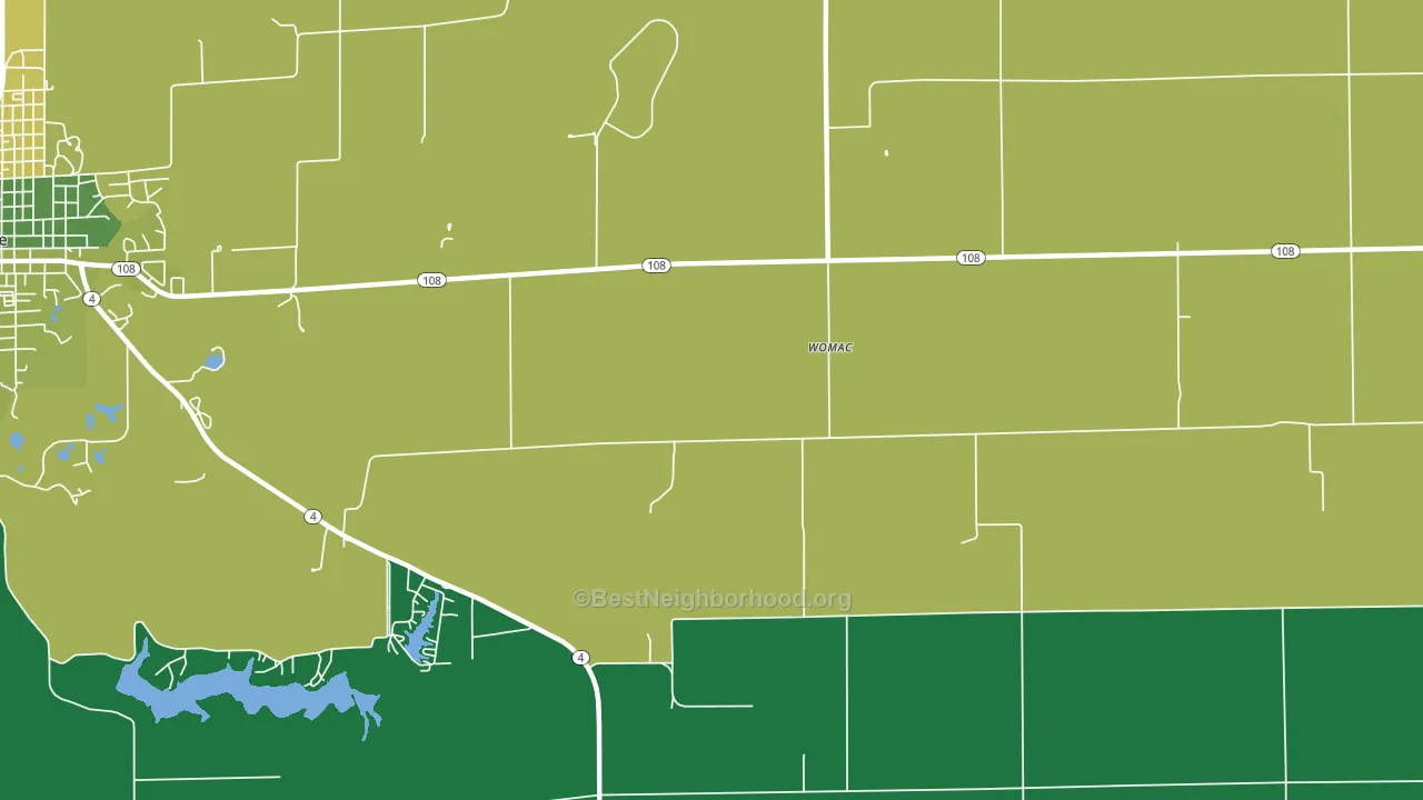 Womac, IL block-group voter-turnout map