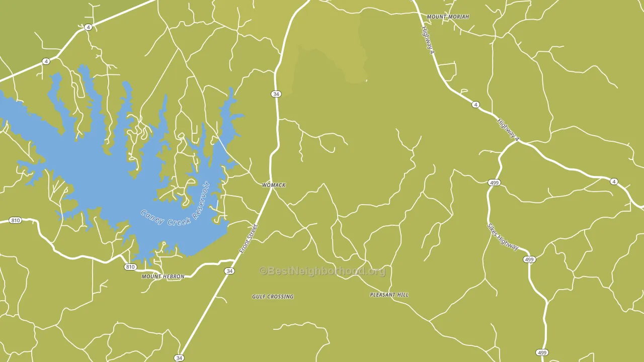 Womack, LA block-group voter-turnout map