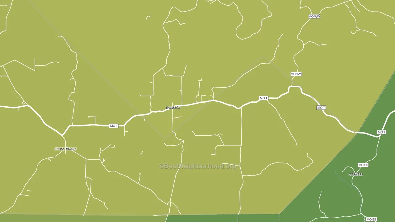 Womack, MO block-group voter-turnout map