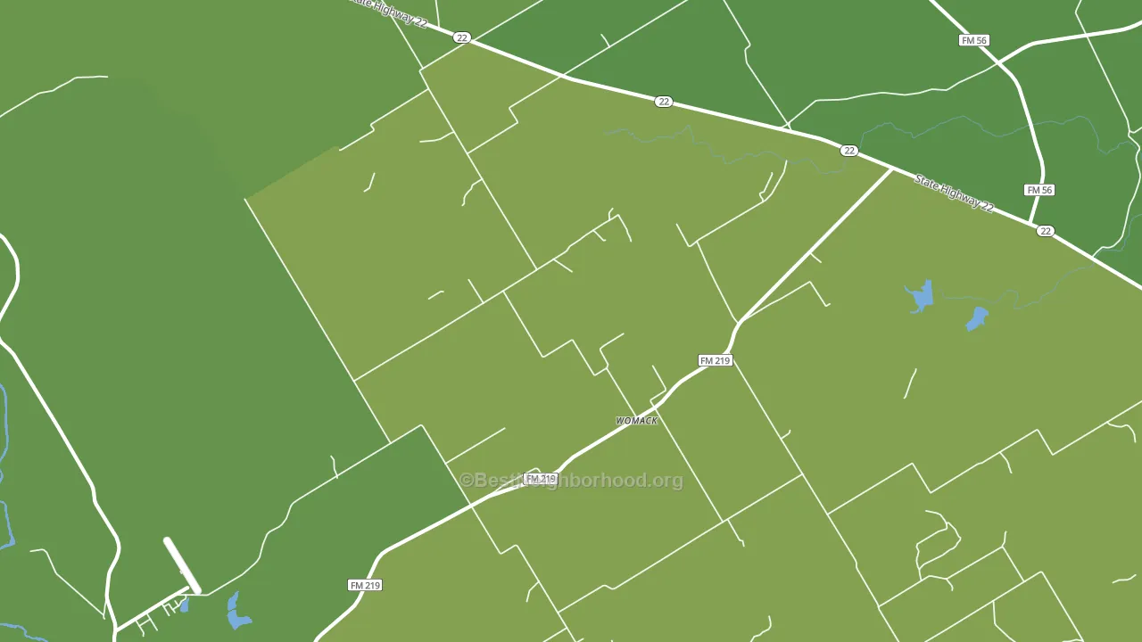 Womack, TX block-group voter-turnout map