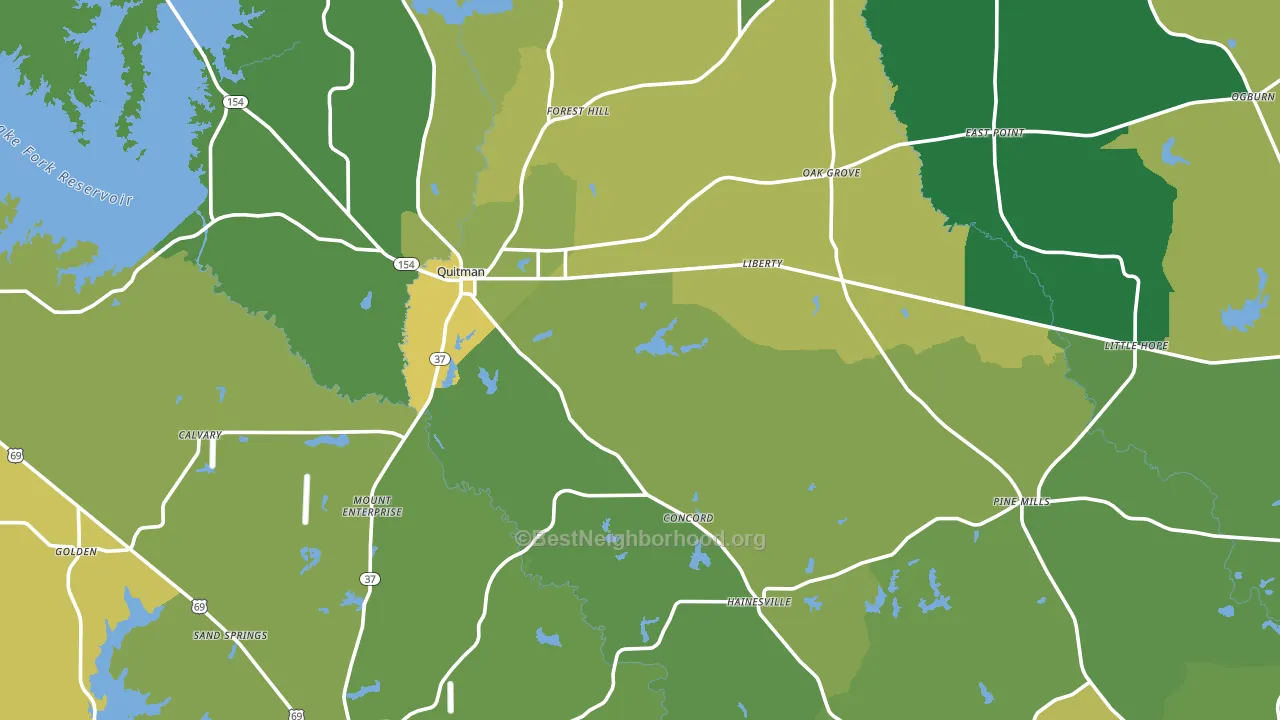 Wood County, TX block-group voter-turnout map