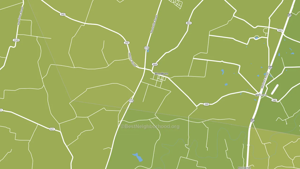 Woodburn, KY block-group voter-turnout map