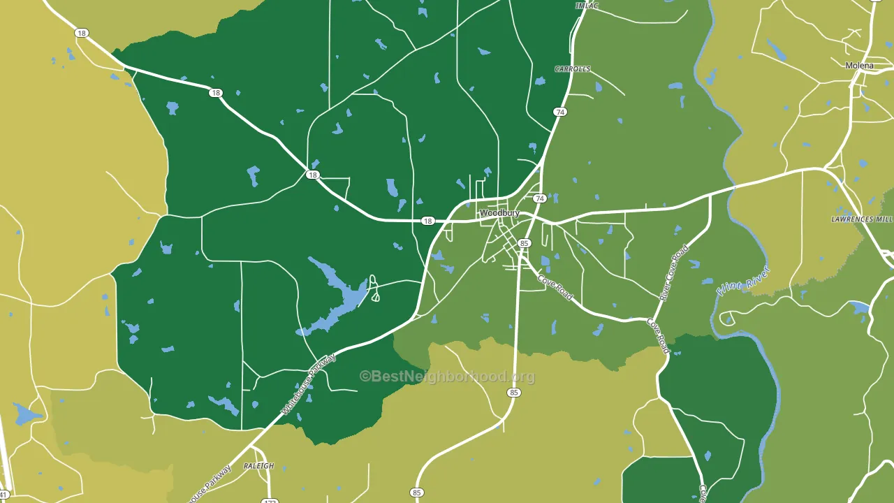 Woodbury, GA block-group voter-turnout map