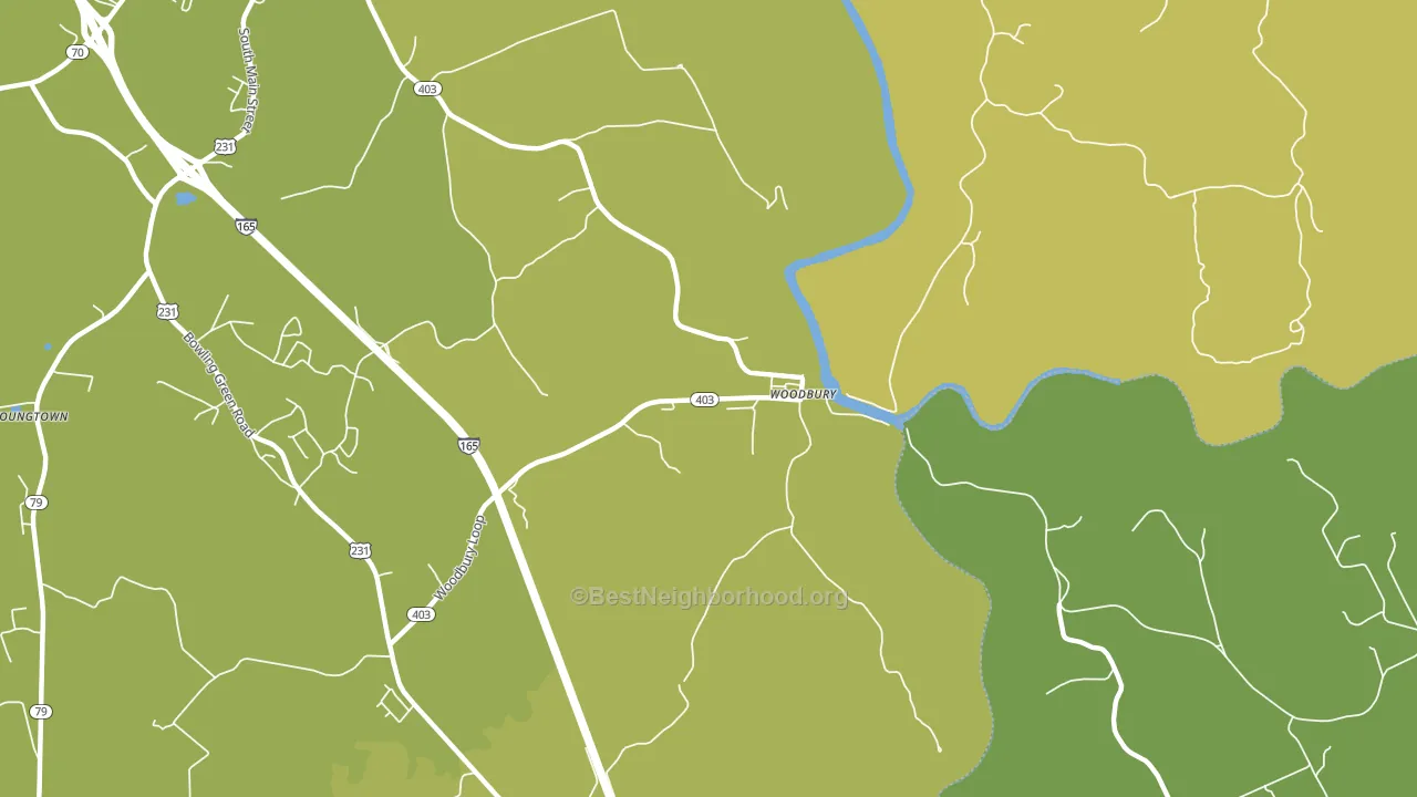 Woodbury, KY block-group voter-turnout map
