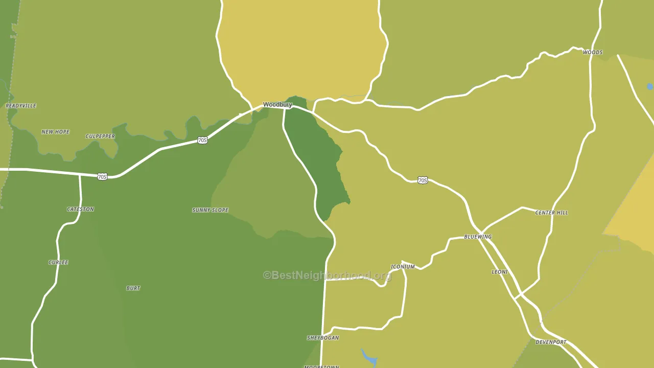 Woodbury, TN block-group voter-turnout map