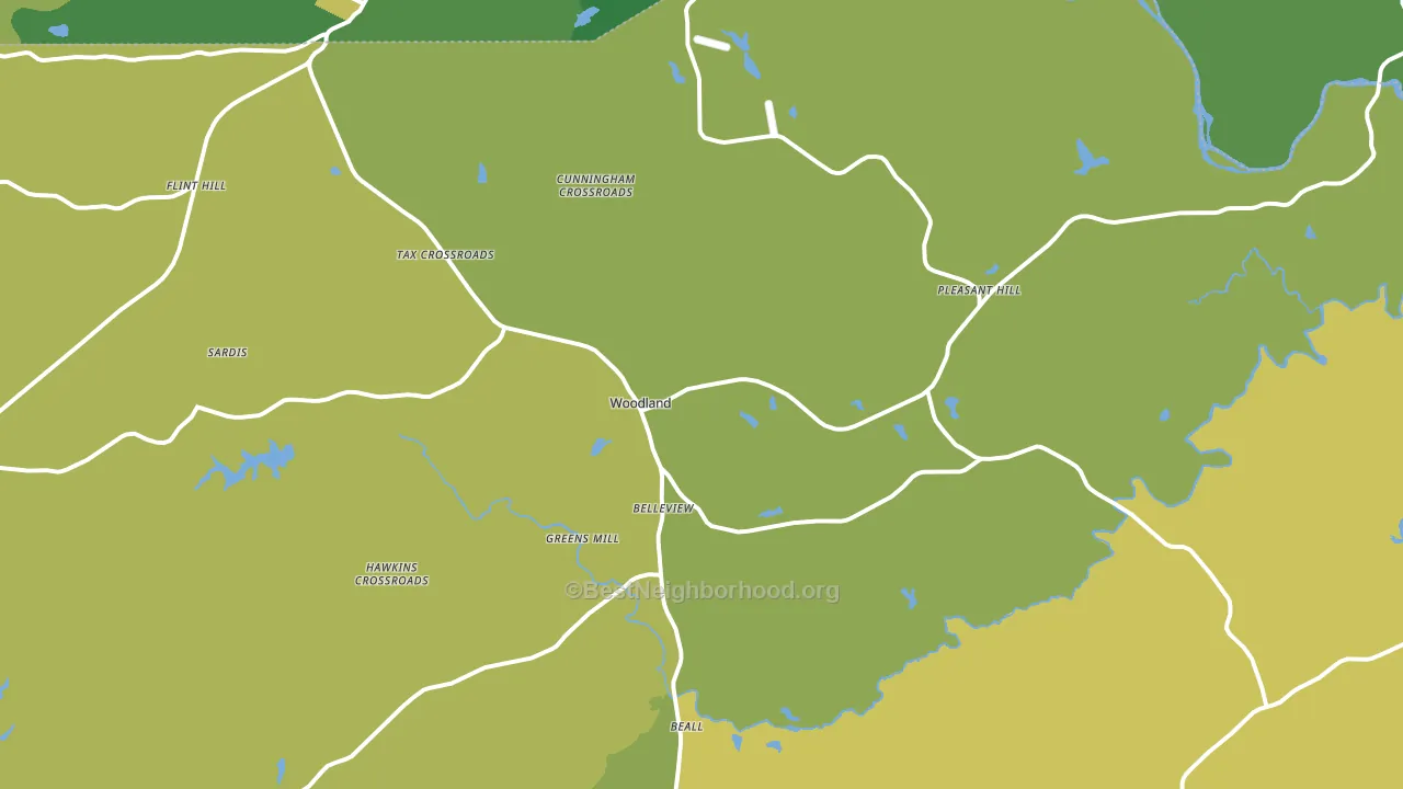 Woodland, GA block-group voter-turnout map