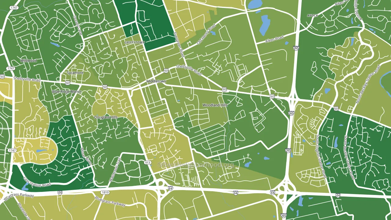 Woodland Hills, KY block-group voter-turnout map