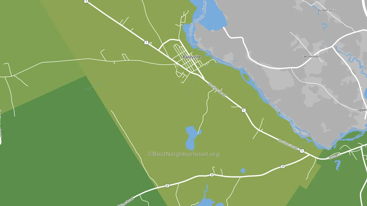 Woodland, ME block-group voter-turnout map