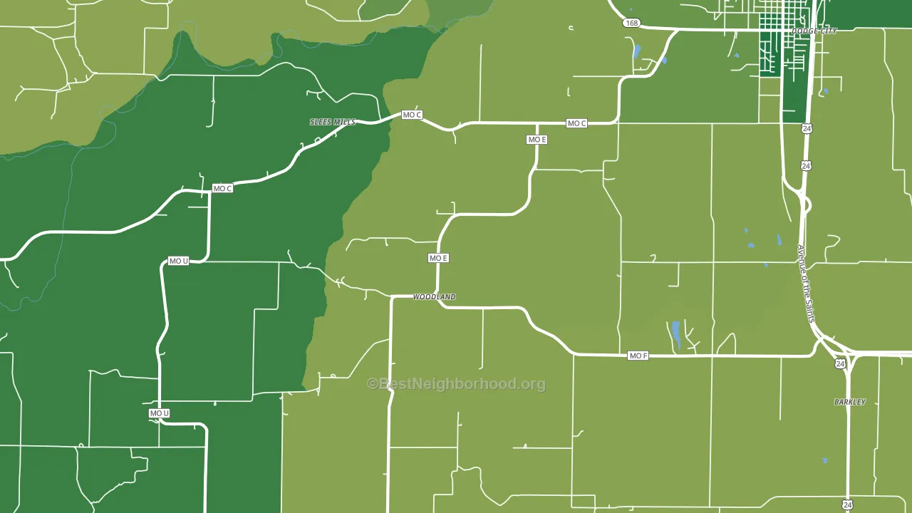 Woodland, MO block-group voter-turnout map