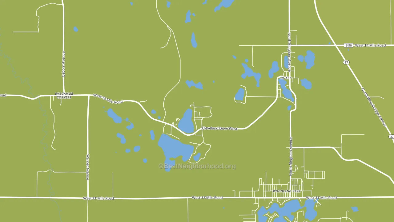 Woodland Park, MI block-group voter-turnout map