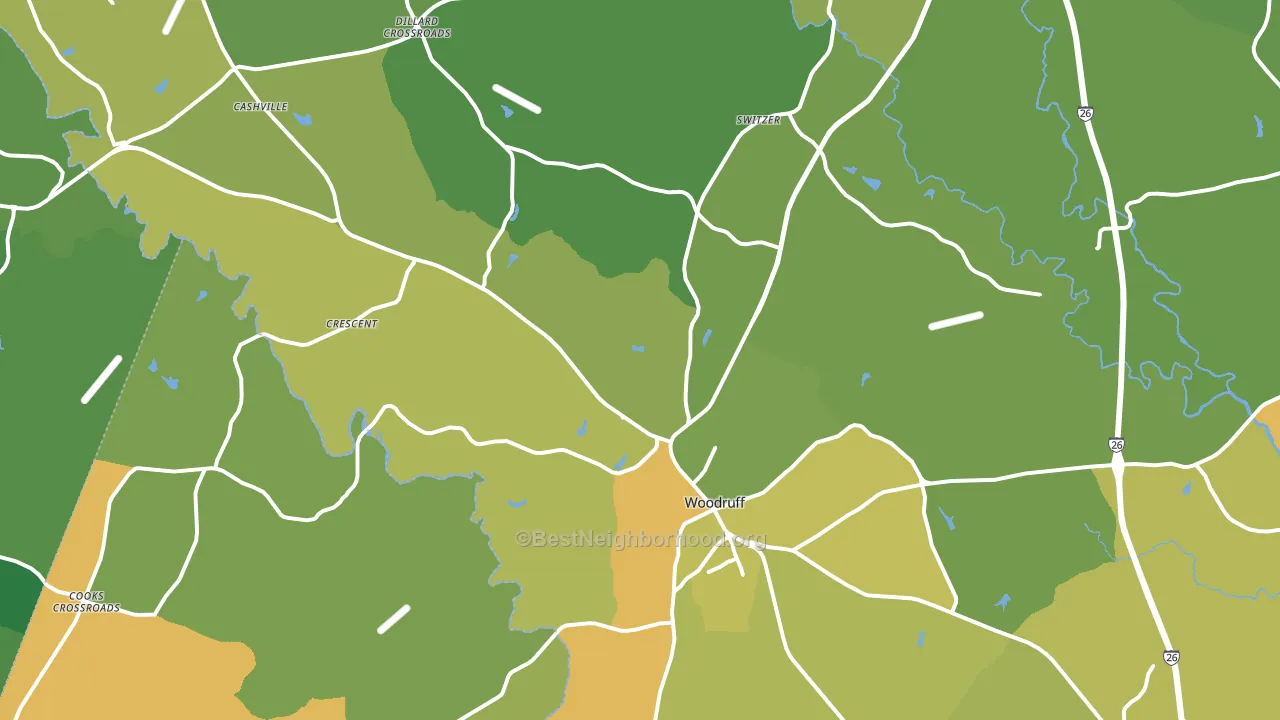 Woodruff, SC block-group voter-turnout map