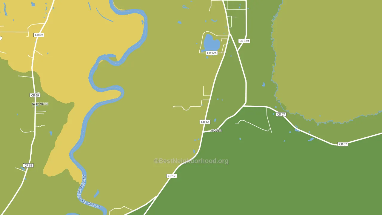 Woods, FL block-group voter-turnout map