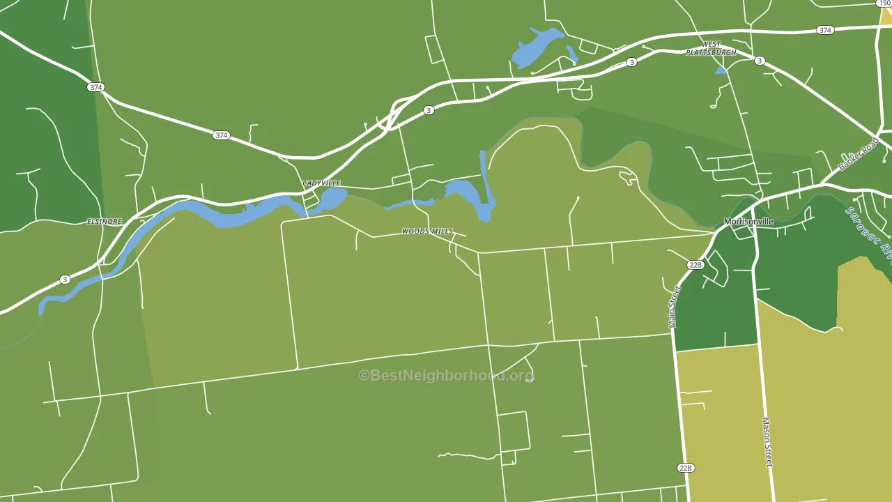 Woods Mills, NY block-group voter-turnout map