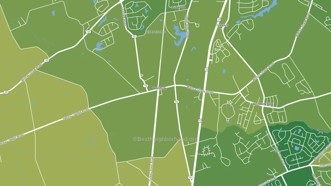 Woodside, DE block-group voter-turnout map