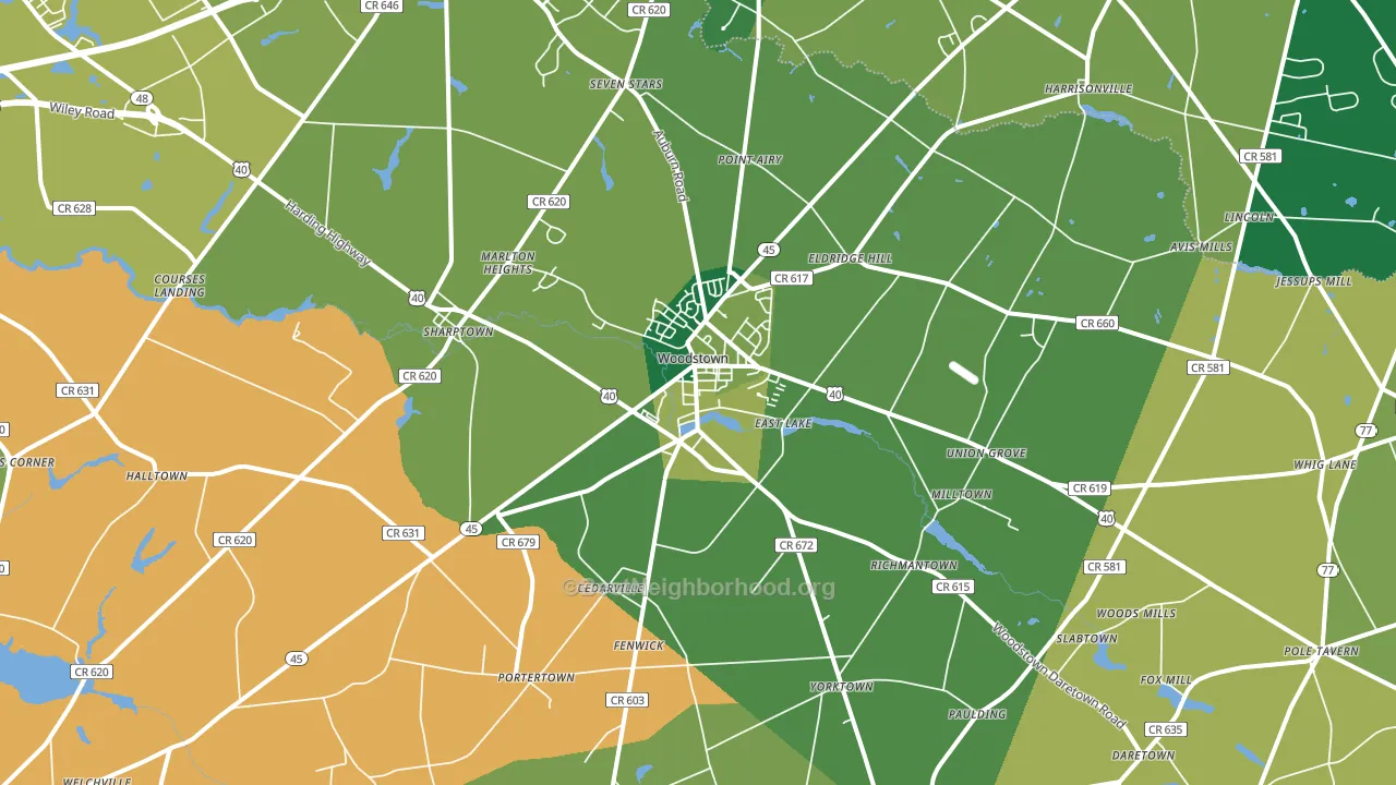Woodstown, NJ block-group voter-turnout map