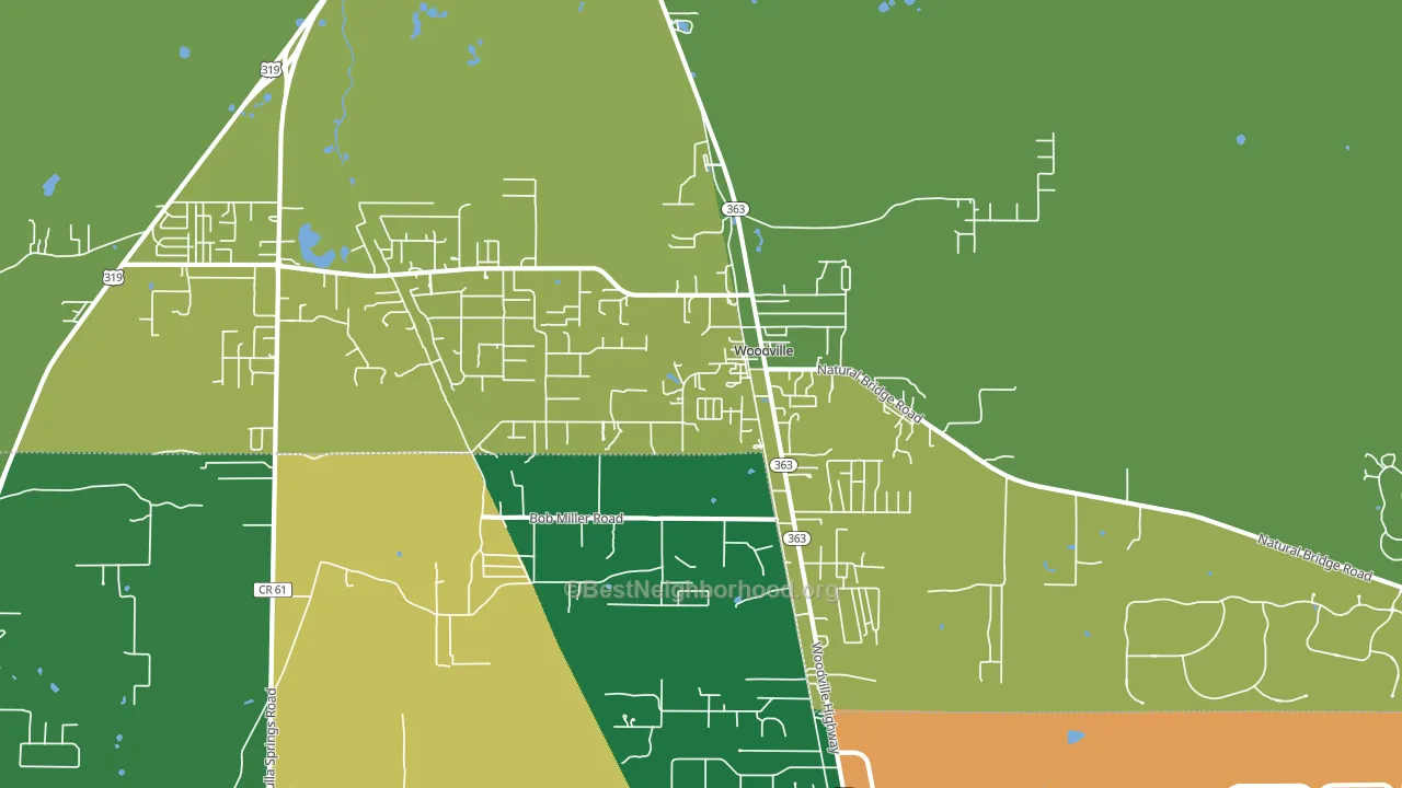 Woodville, FL block-group voter-turnout map