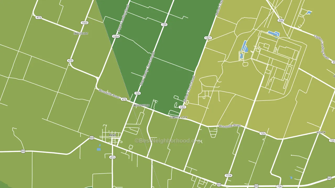 Woodville, KY block-group voter-turnout map