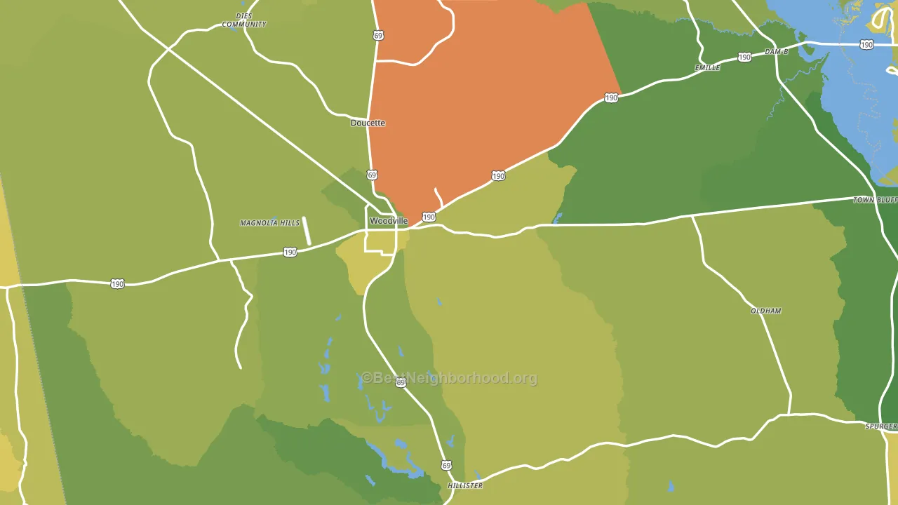 Woodville, TX block-group voter-turnout map