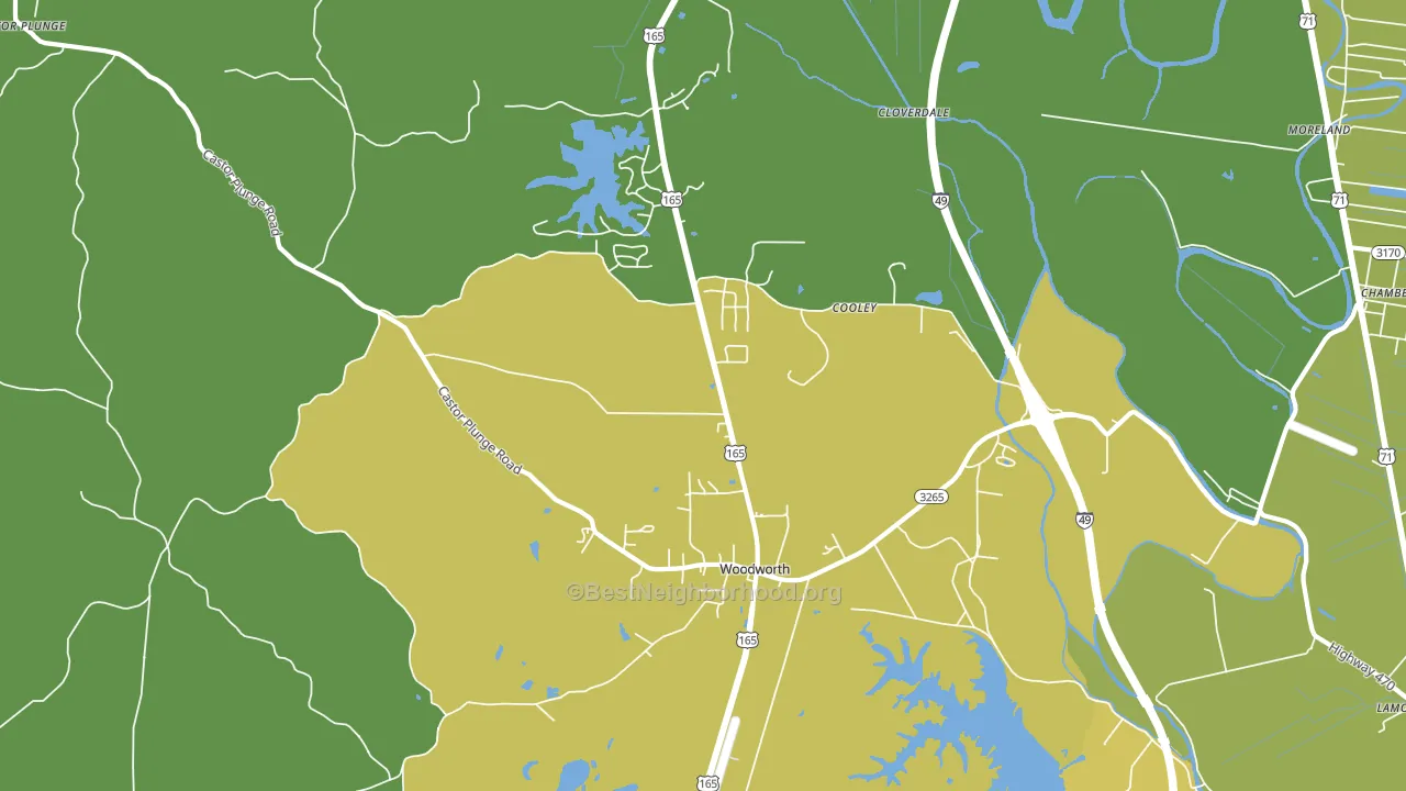 Woodworth, LA block-group voter-turnout map