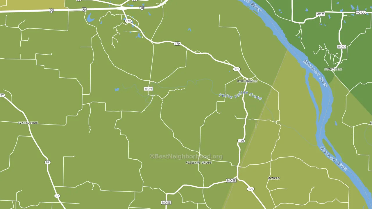 Wooldridge, MO block-group voter-turnout map