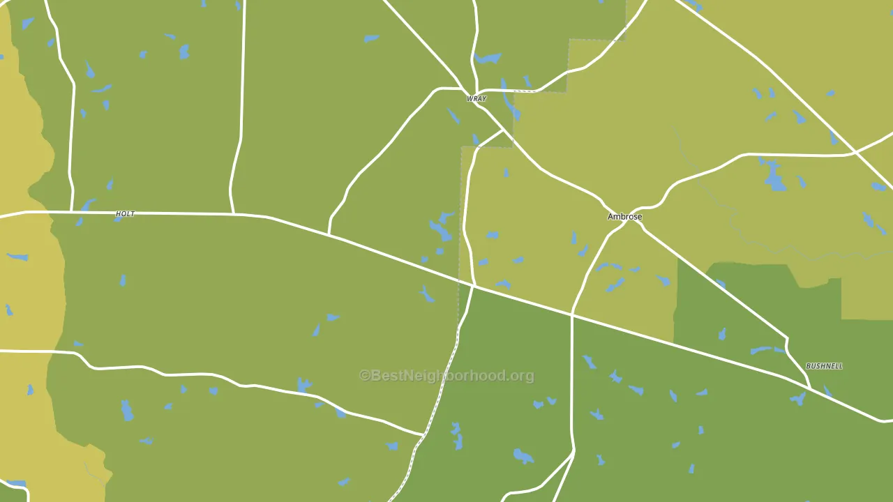 Wray, GA block-group voter-turnout map