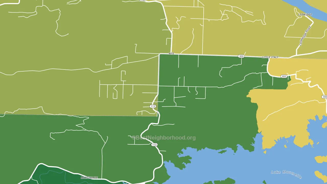 Wye, AR block-group voter-turnout map