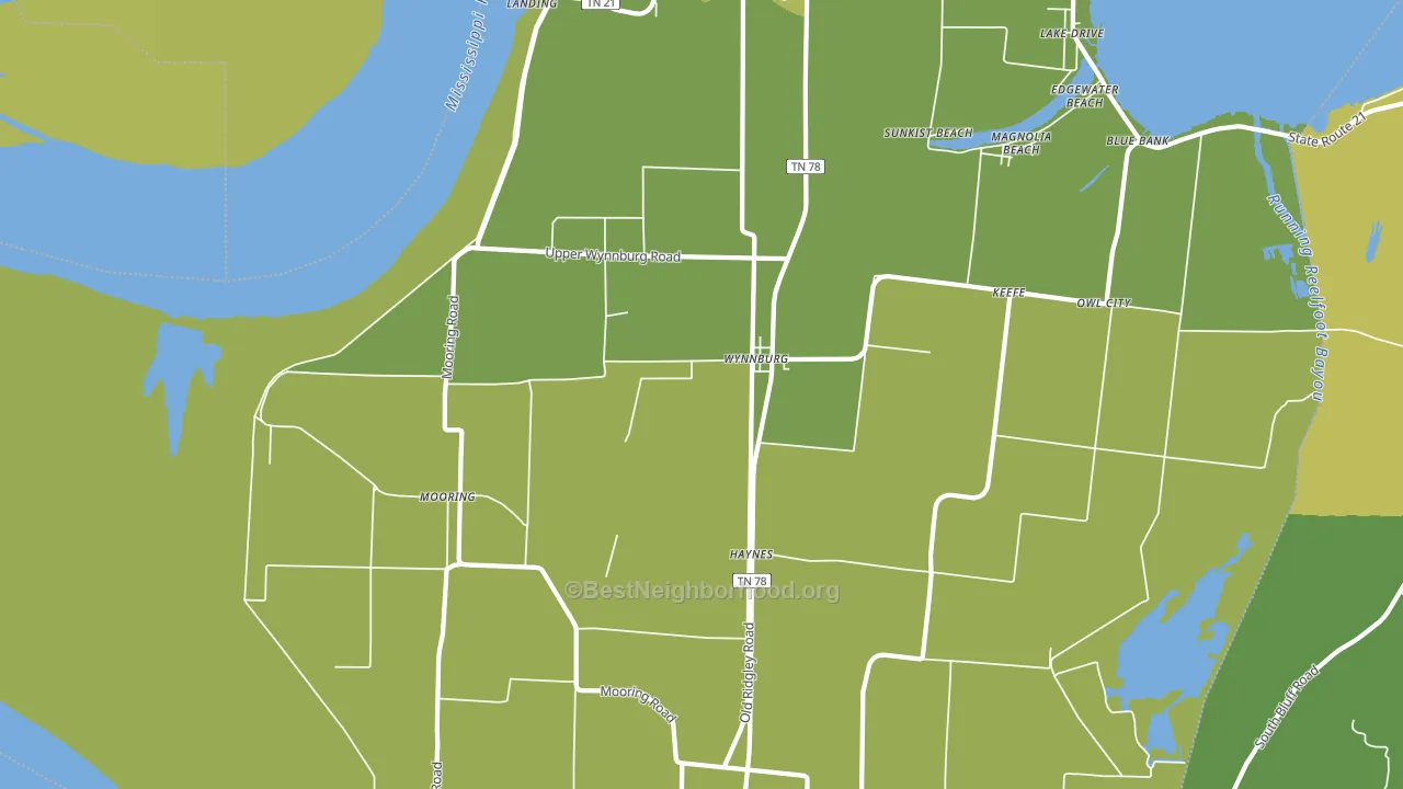 Wynnburg, TN block-group voter-turnout map
