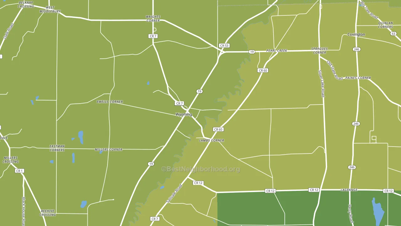 Wyoming, NY block-group voter-turnout map
