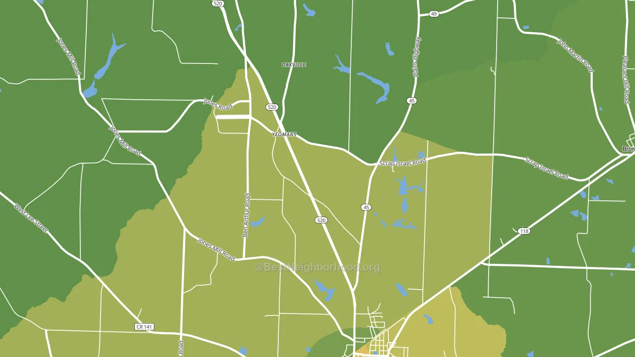 Yeomans, GA block-group voter-turnout map
