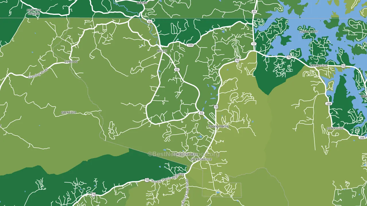 Young Harris, GA block-group voter-turnout map
