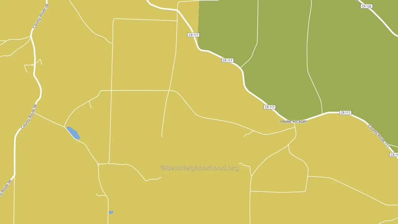 Young Hickory, NY block-group voter-turnout map