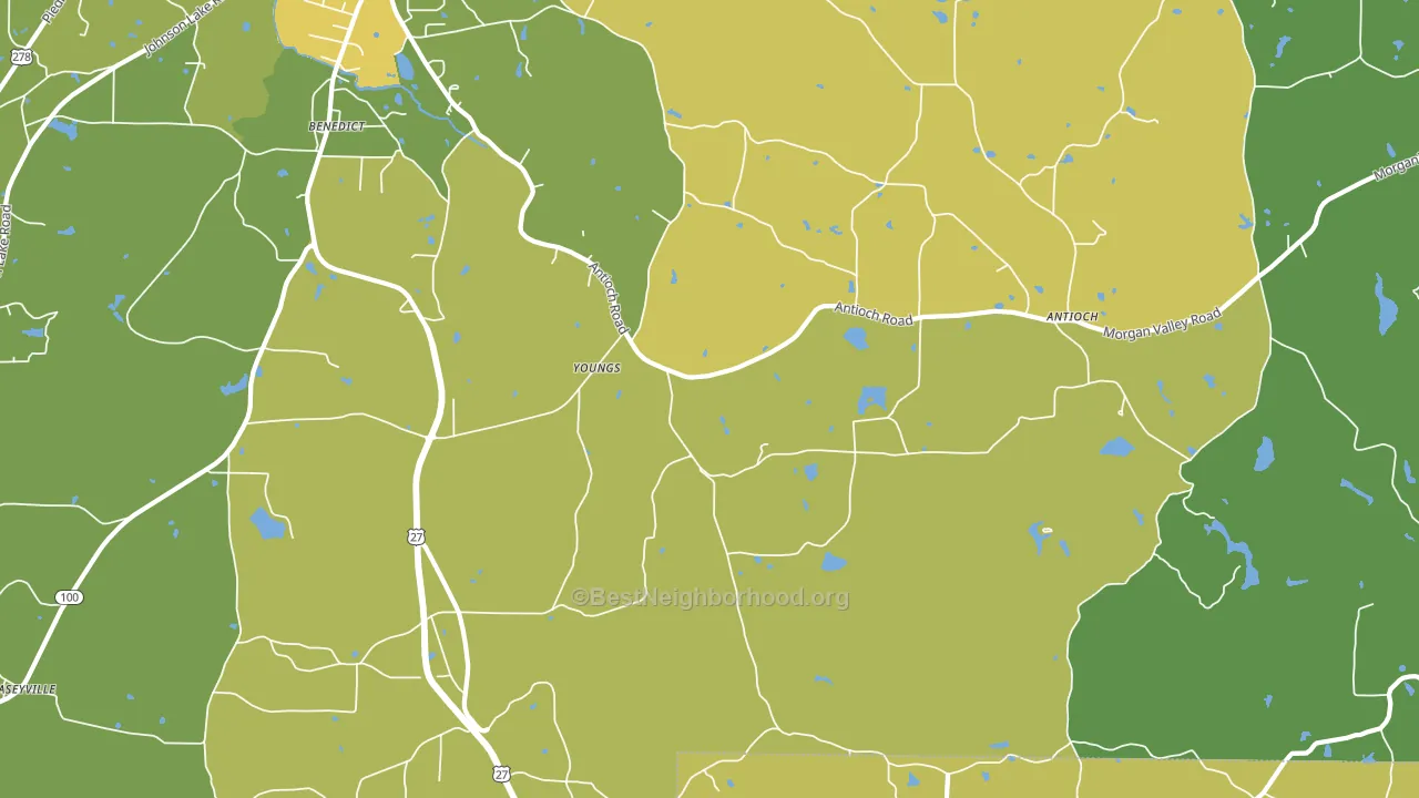 Youngs, GA block-group voter-turnout map