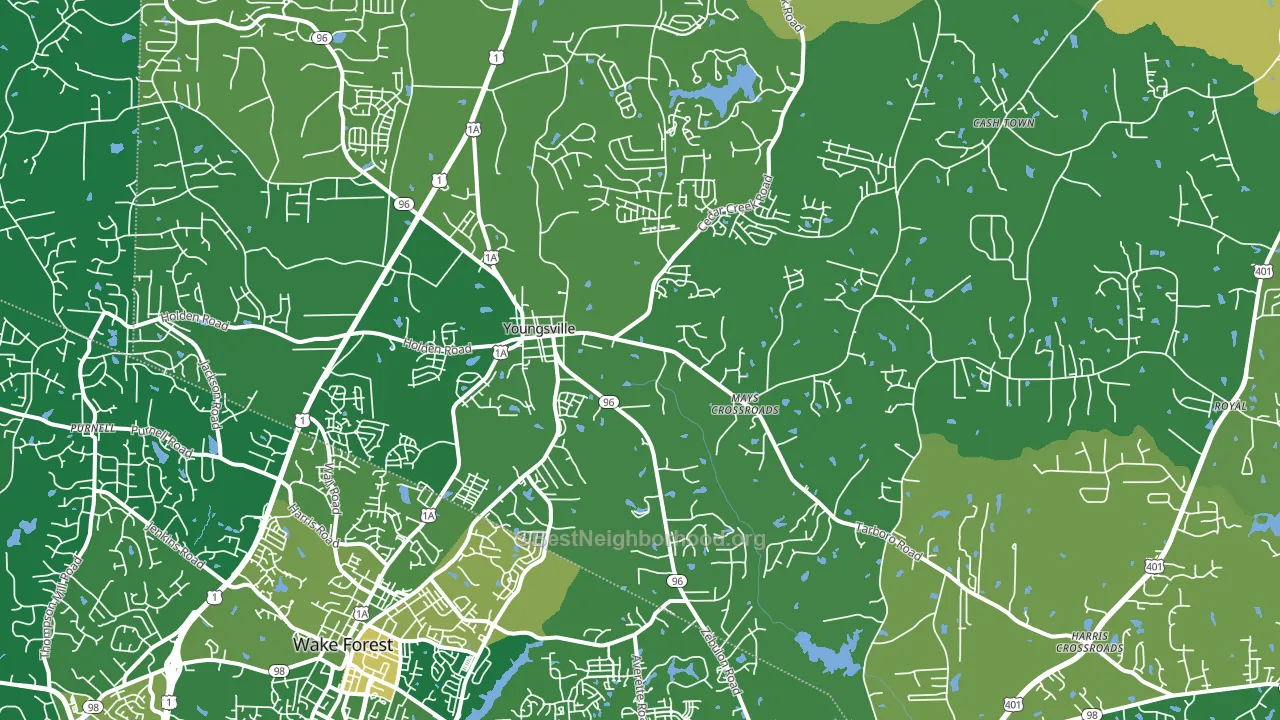 Youngsville, NC block-group voter-turnout map