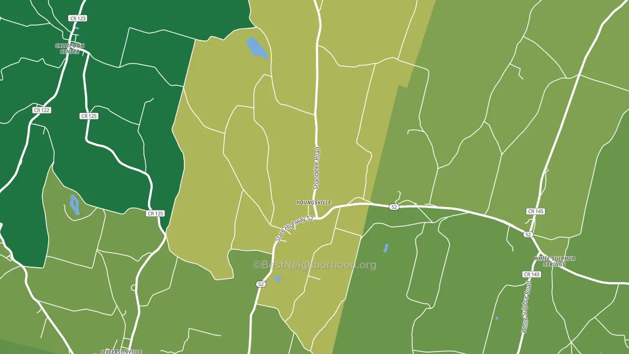 Youngsville, NY block-group voter-turnout map