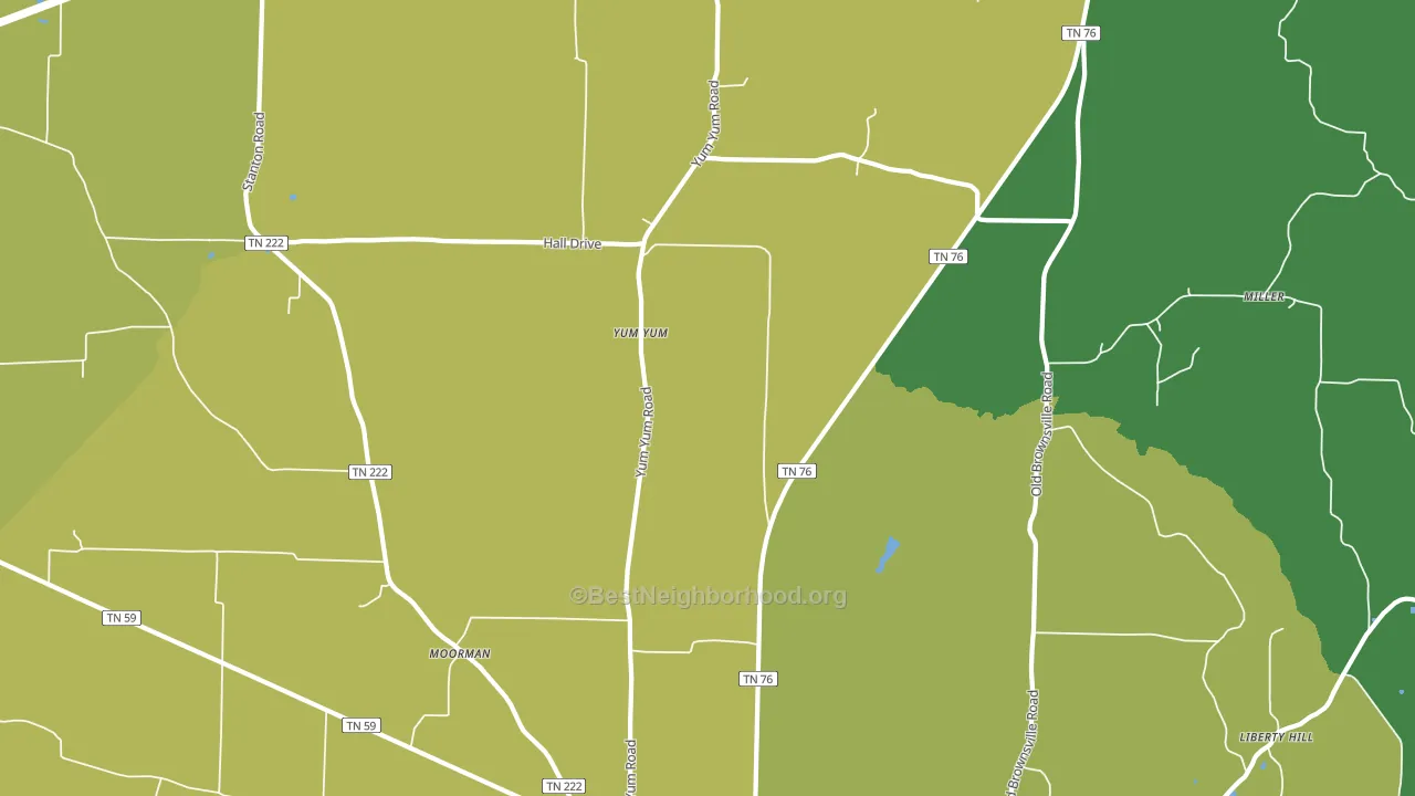 Yum Yum, TN block-group voter-turnout map