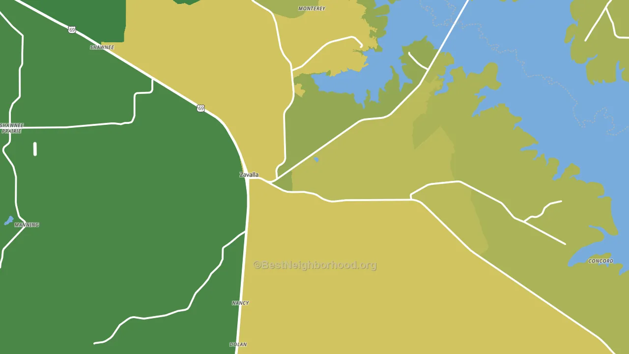 Zavalla, TX block-group voter-turnout map