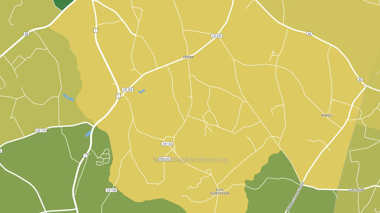 Zebina, GA block-group voter-turnout map