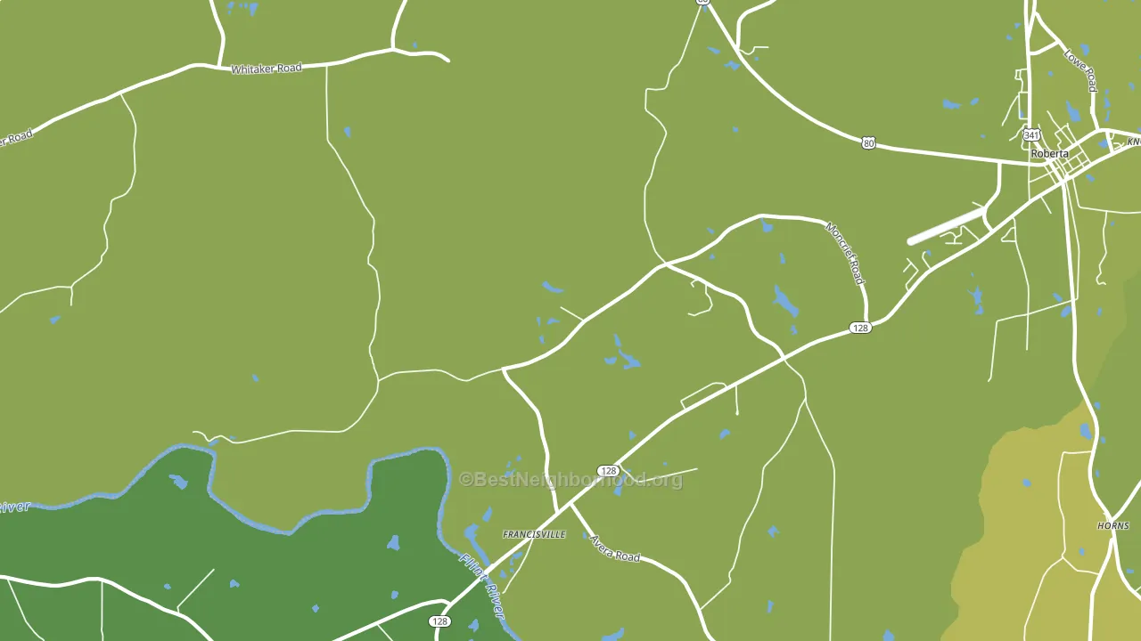 Zenith, GA block-group voter-turnout map