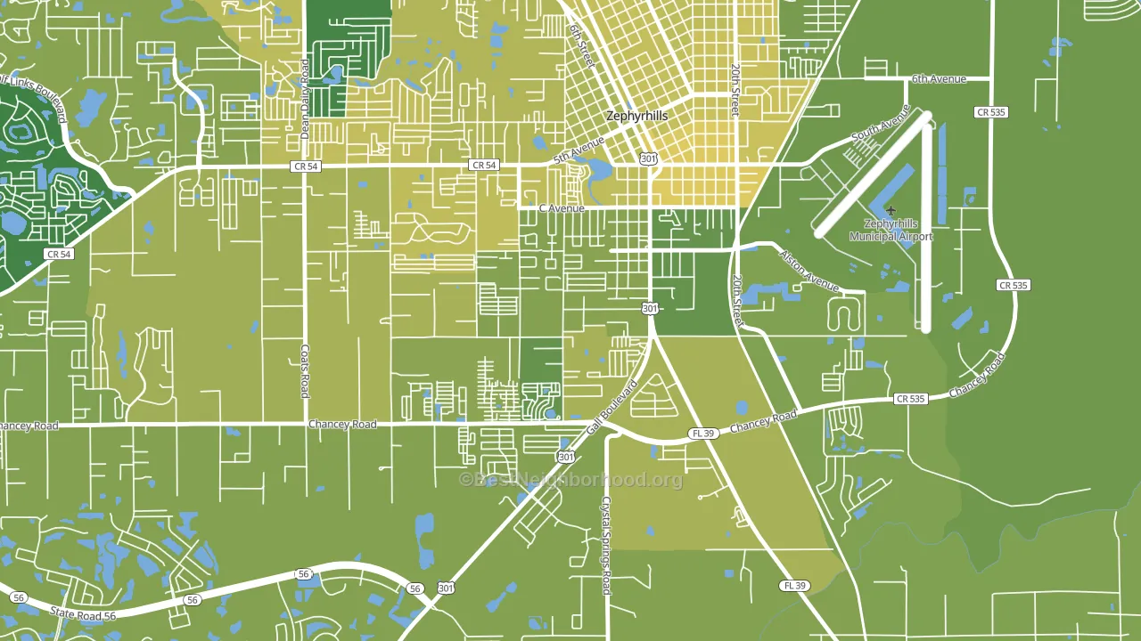 Zephyrhills South, FL block-group voter-turnout map
