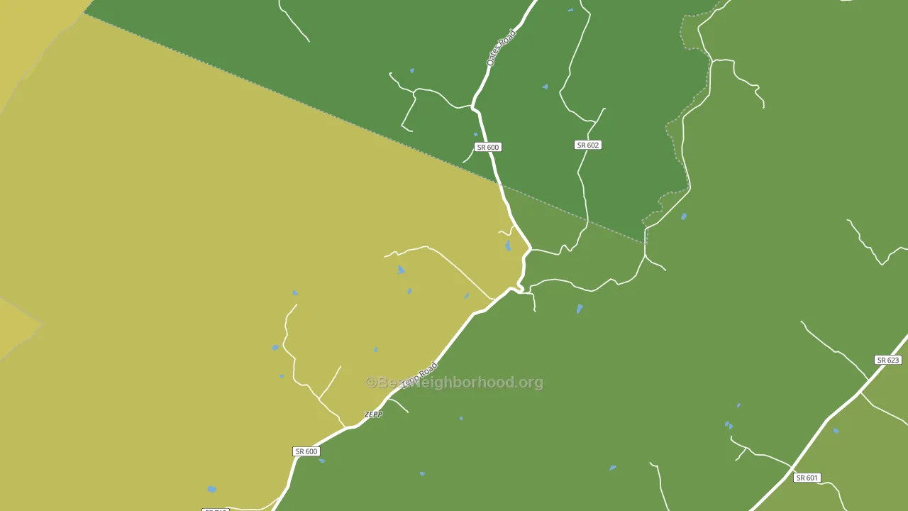 Zepp, VA block-group voter-turnout map