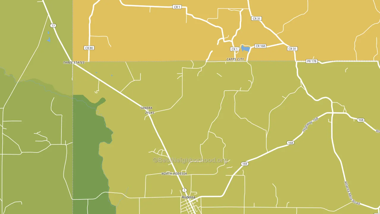 Zylks, LA block-group voter-turnout map