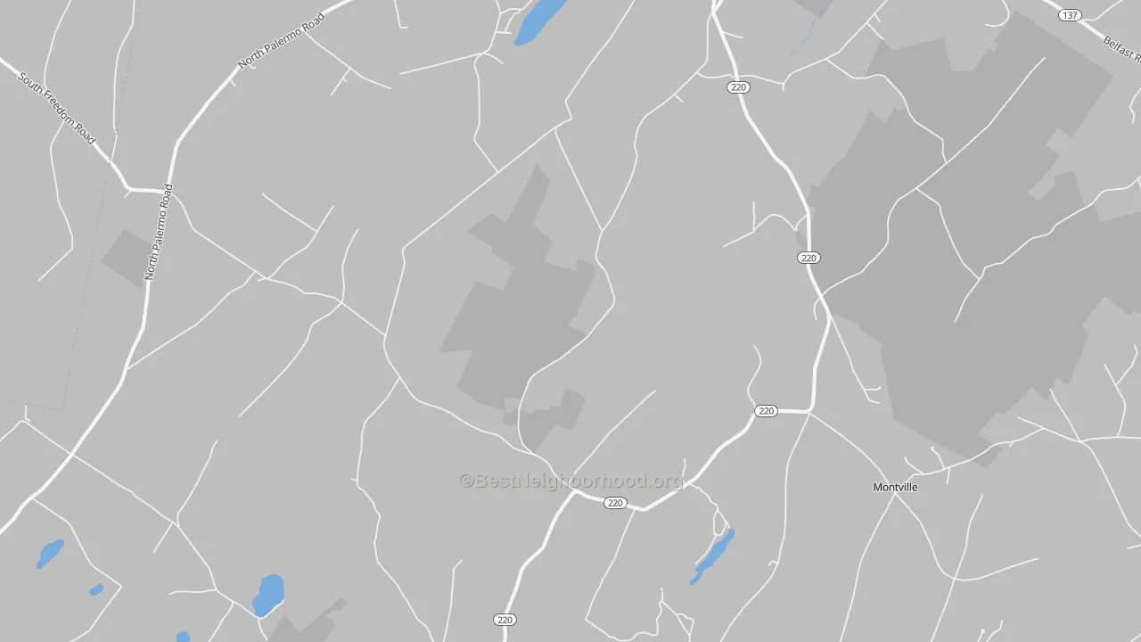Walk Grade map of 04941, ME, walkable areas in green and car-dependent areas in red