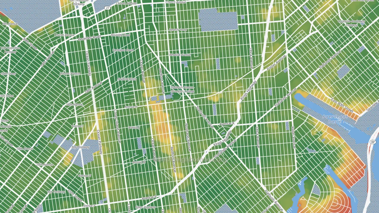 Walk Grade map of 11210, NY, walkable areas in green and car-dependent areas in red