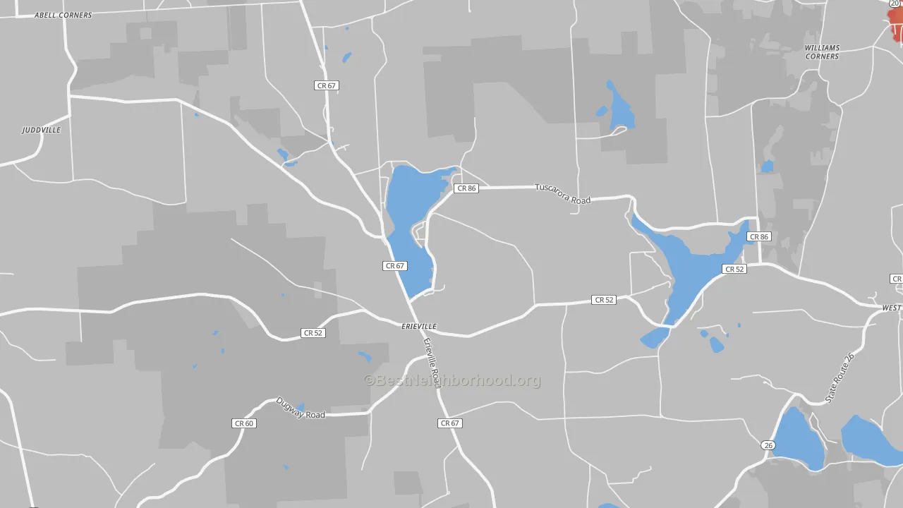 Walk Grade map of 13061, NY, walkable areas in green and car-dependent areas in red