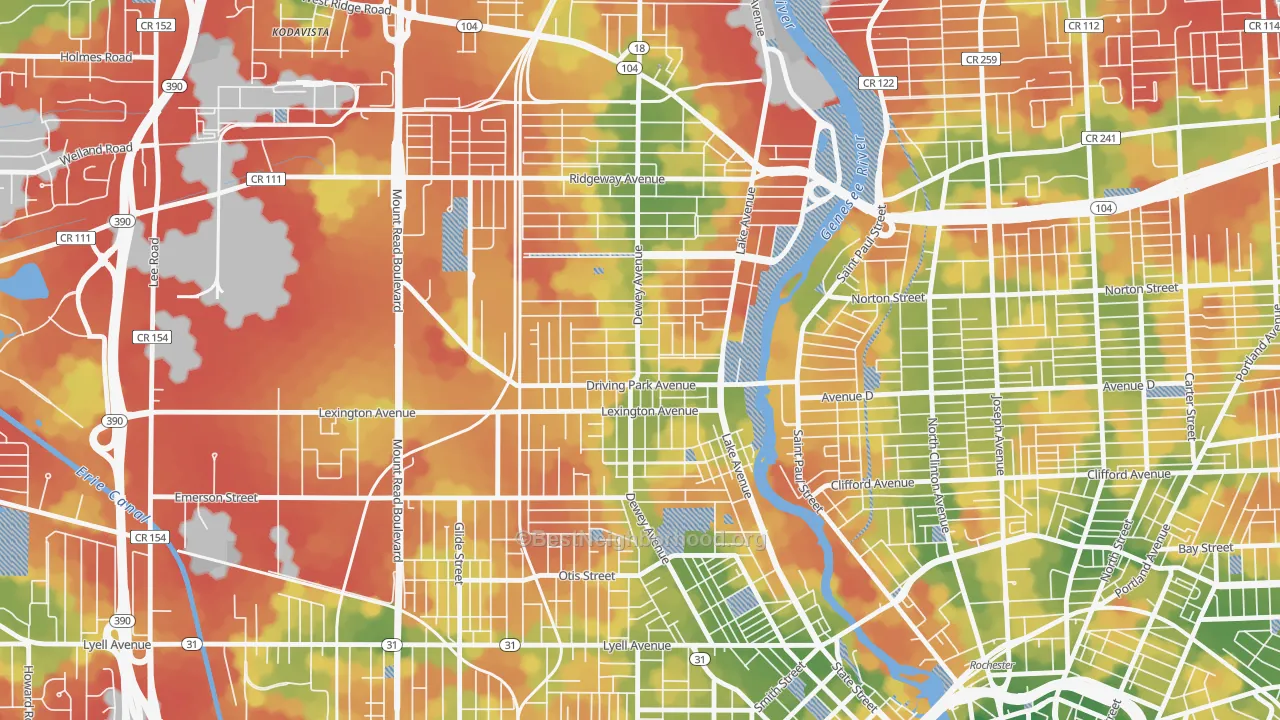 Walk Grade map of 14613, NY, walkable areas in green and car-dependent areas in red