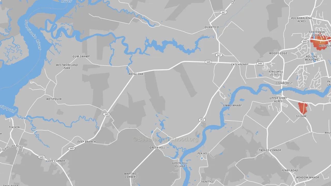 Walk Grade map of 21856, MD, walkable areas in green and car-dependent areas in red