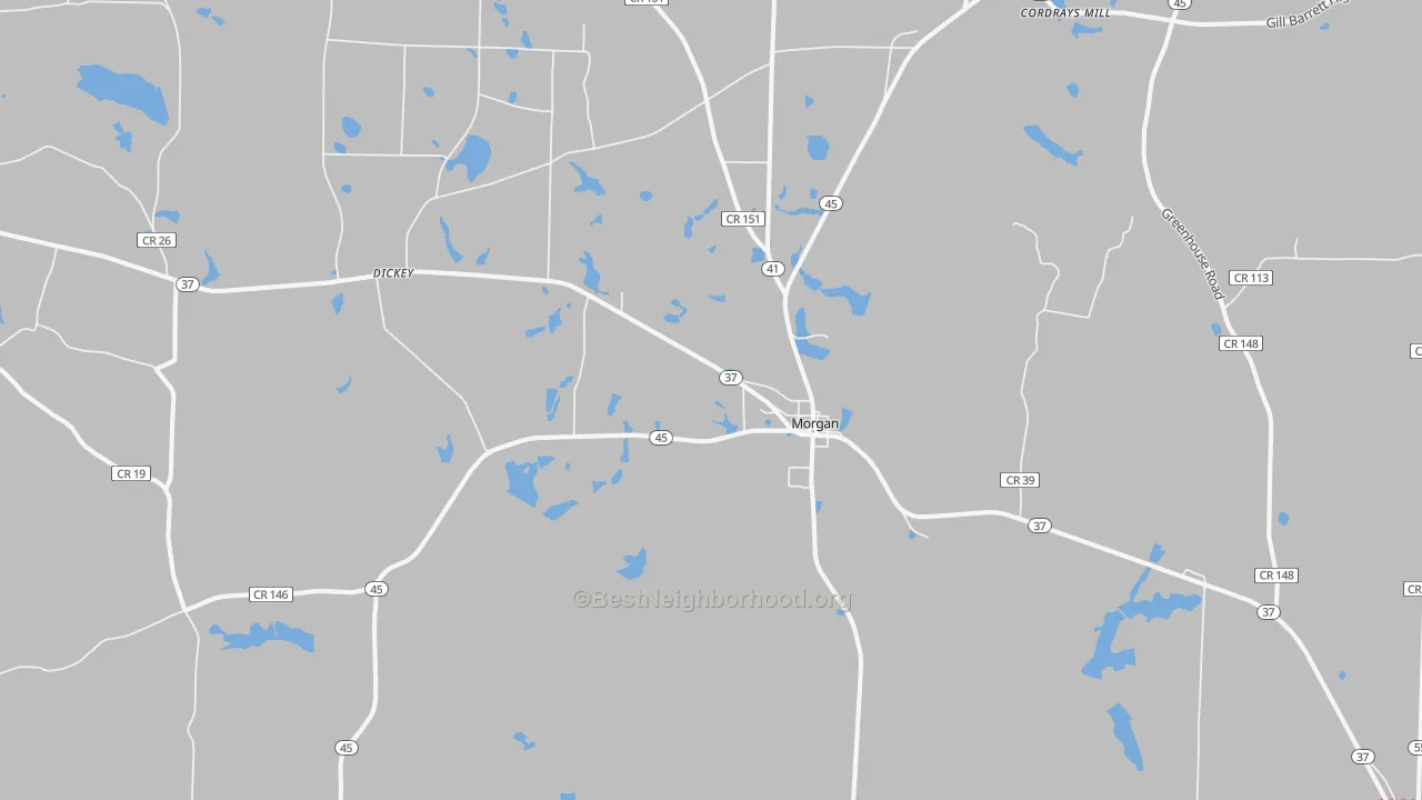 Walk Grade map of 39866, GA, walkable areas in green and car-dependent areas in red