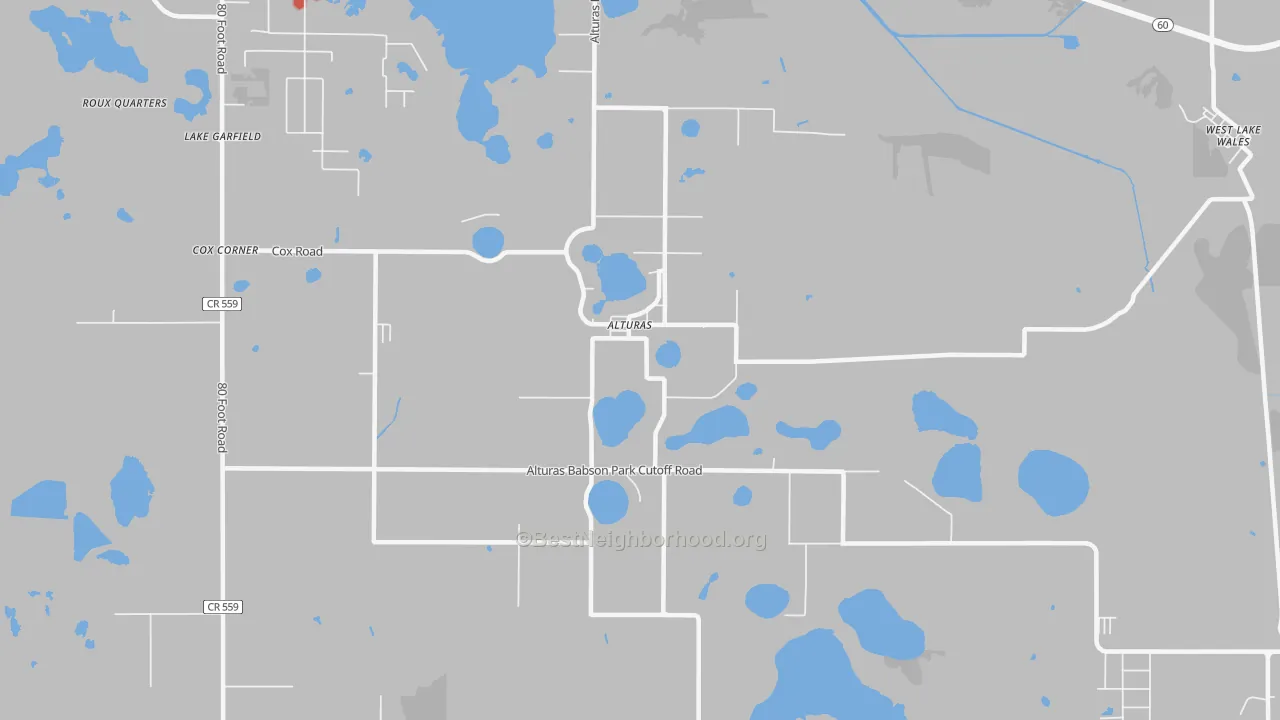 Walk Grade map of Alturas, FL, walkable areas in green and car-dependent areas in red