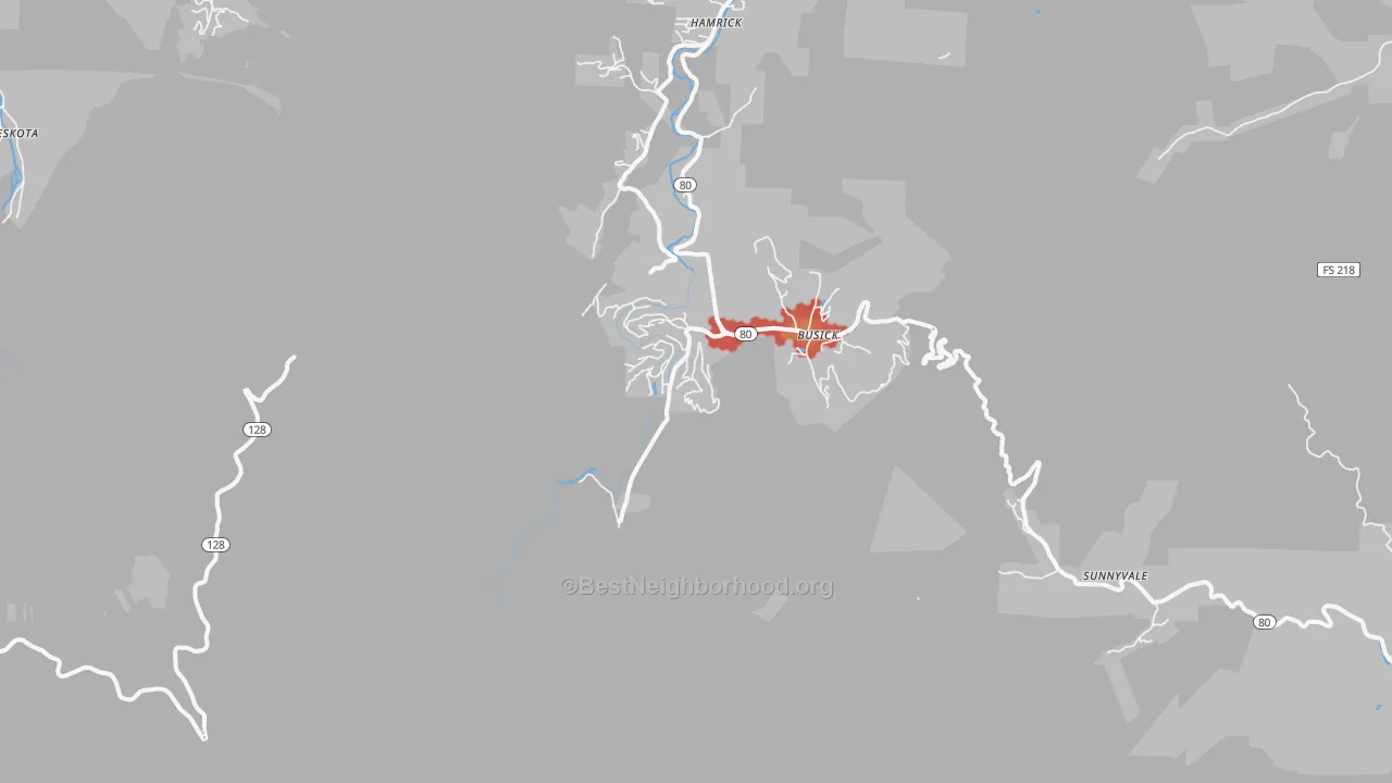 Walk Grade map of Busick, NC, walkable areas in green and car-dependent areas in red